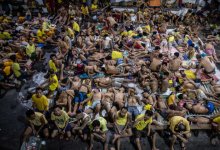 ���ɱ������Ѳ����죬����˵�����ʳ����½������ΰ�������ת