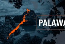 ����˾��̾�ҵ���ƶ࣬���ɱ�������ִ���3���Ƿ����̵��й���