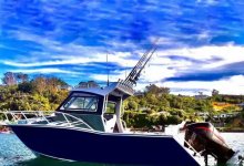 ���ɱ���Աϲ�����㣬��������֪������ָ���Աֻ�ھ�ѡʱ�ǵ�����