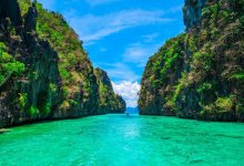 ���ɱ����δ�ҵ����Ϊǩ֤����Ӱ����ҵ��չ