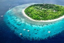 ���ɱ�������Χ����10�����Ѿ���